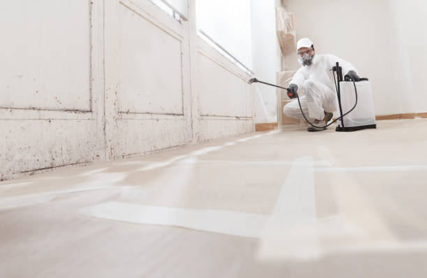 24/7 Emergency Mold Removal experts in Upper Black Eddy, PA