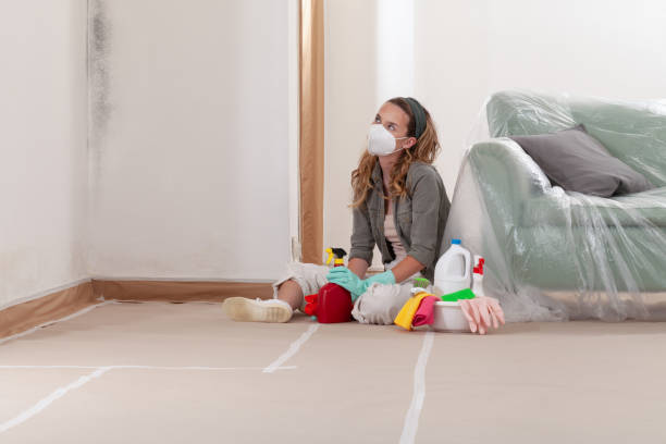 Reliable Mold Removal contractor in Upper Black Eddy, PA by Mold Remediation HQ